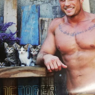 Hab einen Katzenkalende...