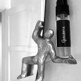 GuruDeva / House of Orp...