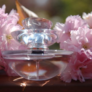 Insolence Eau Glacée v...