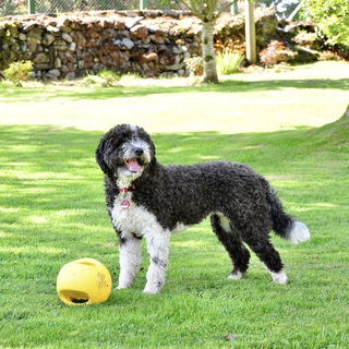 Mein großes Mädchen