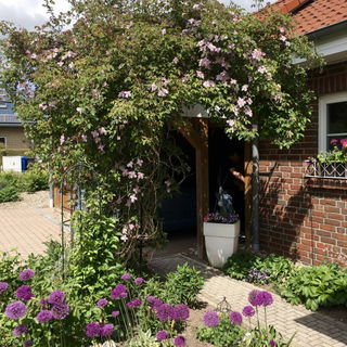 Rosenbogen mit Clematis...