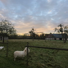 Blick auf die Weide bei...