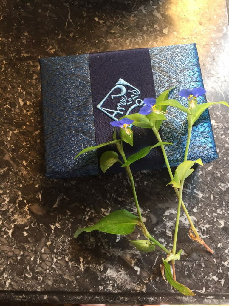 Comelia Comunis in Blau