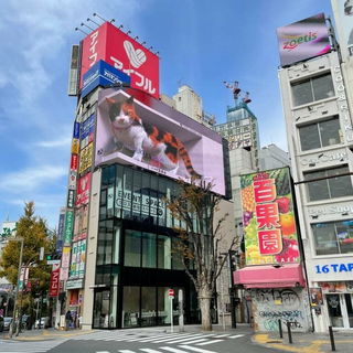 東京