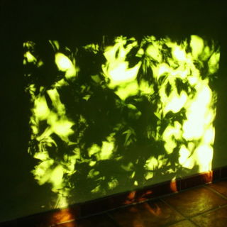 Schatten an der Wand