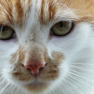 Muggel ist heute 07.09....