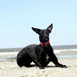 Nordseewind