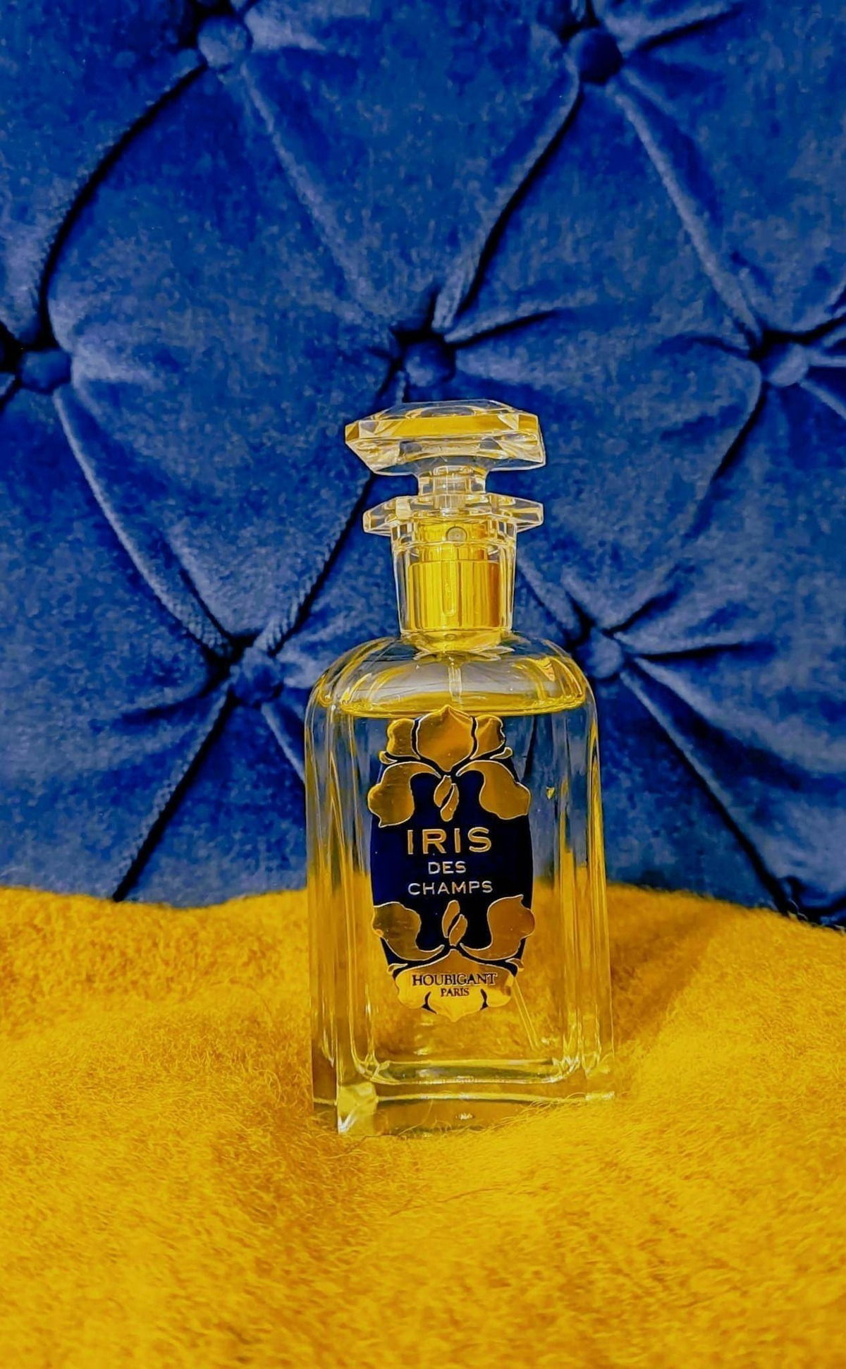 Iris des Champs - Houbigant