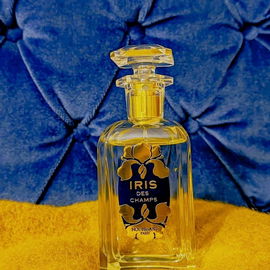 Iris des Champs - Houbi...