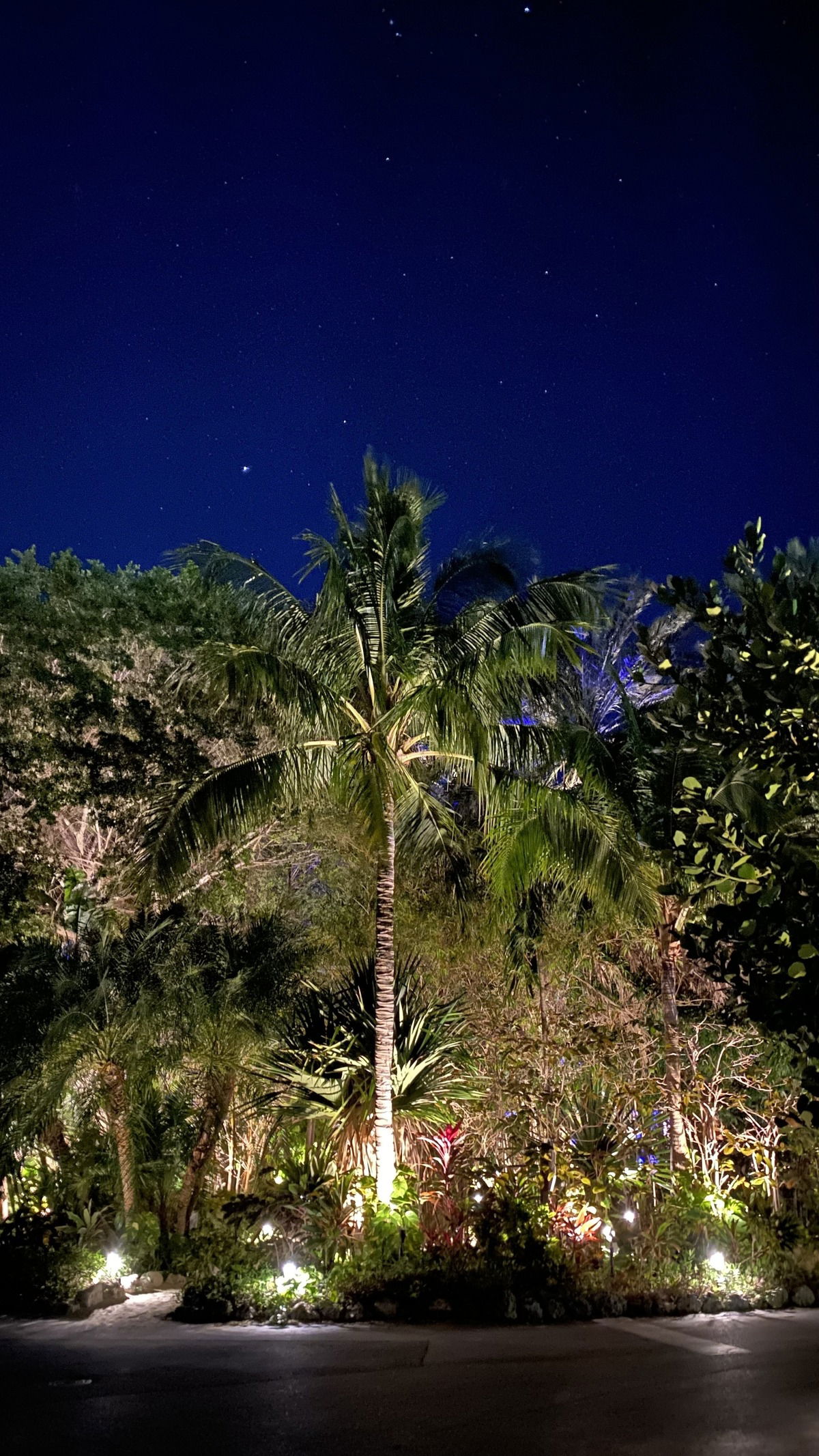 Flitterwochen auf Islamorada, Florida!