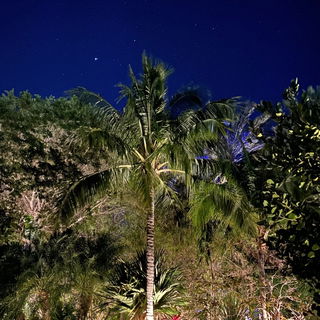 Flitterwochen auf Islam...