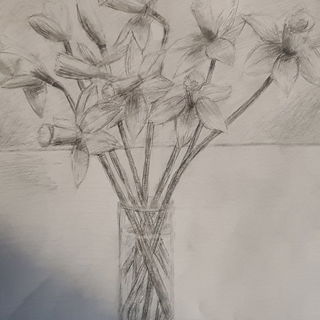 gezeichneter Narzissens...