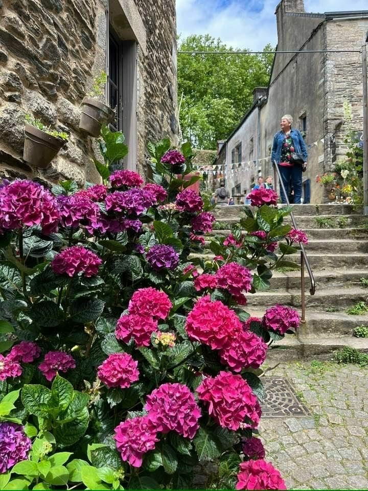 Rochefort-en-Terre