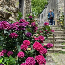 Rochefort-en-Terre