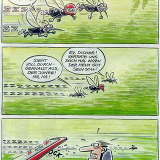 Helmpflicht in Deutschl...