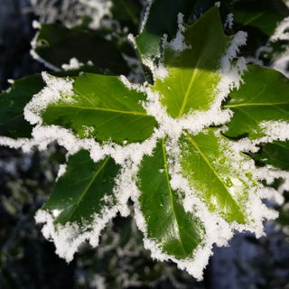 Die schöne Seite des W...