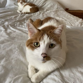 Das sind meine Beiden. ...