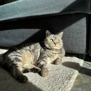 Coco (fast Chanel) 😂