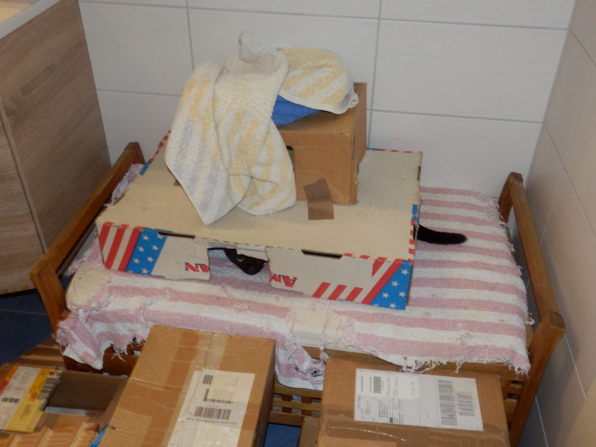 Ras-putin ist in der Kiste ... es rappelt im Karton ... *sing*