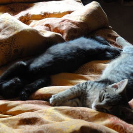 Kaspar & Leni