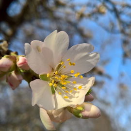 15. Februar