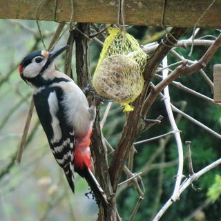.. unser Terrassenspech...