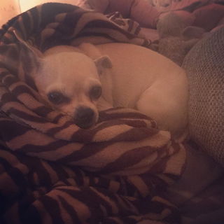♥️Luna♥️