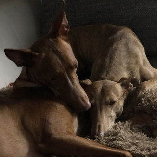 My heart and my soul