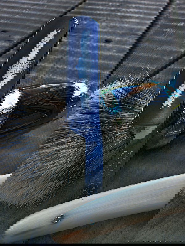 Das Forumsmesser gut-rasiert.de, Wacker 5/8 vollhohl, Schorkopf, Ansatzhohlspiegel, Schalen aus blondem Horn