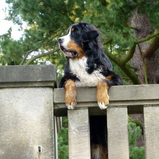 Ich kenne ihn nicht. Er...