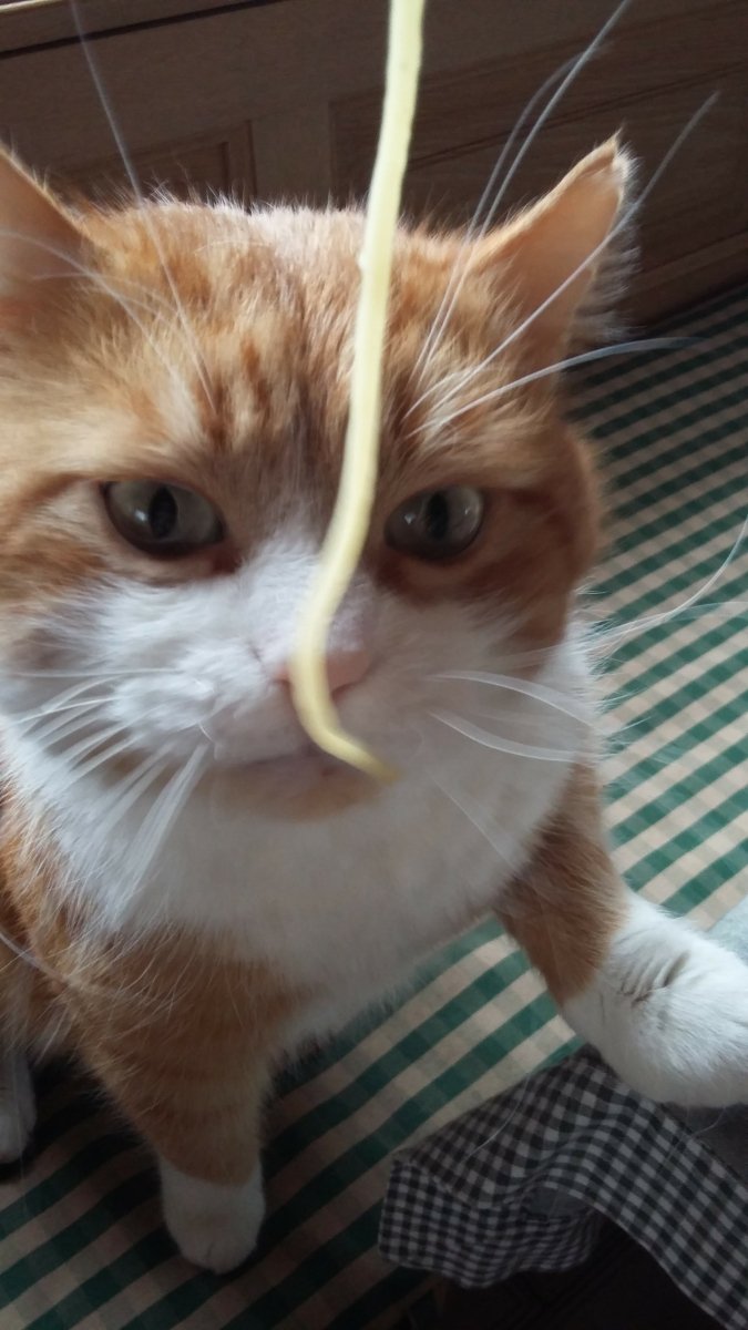 Gib mir die Nudel..., oder bin ich selbst eine???