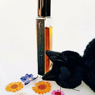 Civet de Nuit | Areej L...