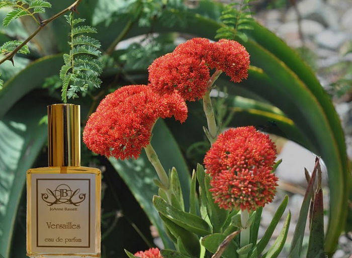 JoAnne Bassett Natural Perfume - Versailles eau de parfum