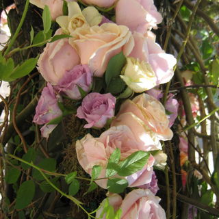 Rosendekoration, Helsin...