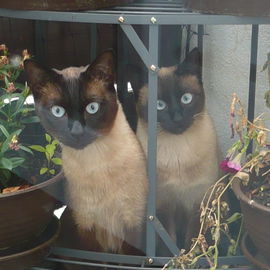 *dummguck*