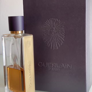 Die Tonkaperle schlecht...