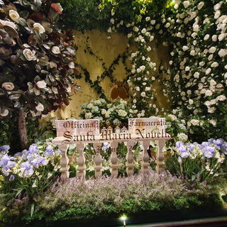 Die Wiege der europäis...