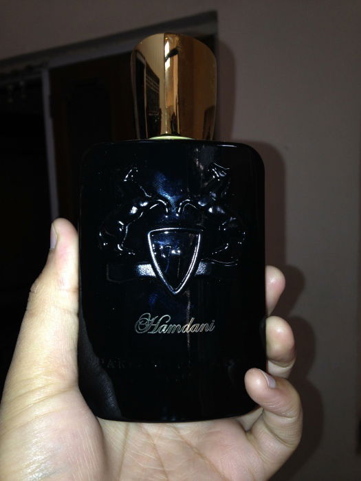 Hamdani by Parfums De Marley