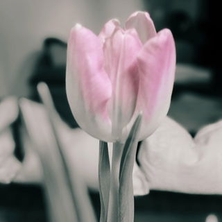 Gestern - Heute - und w...