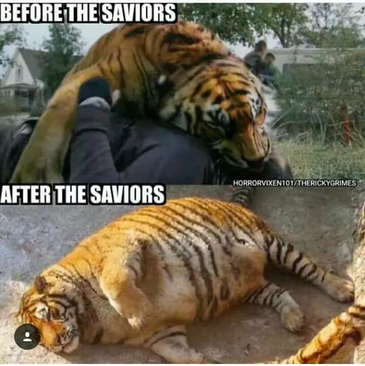 ? The Walking Dead Fan