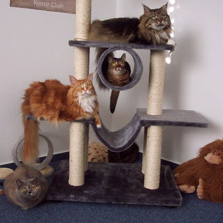 von oben nach unten: Me...