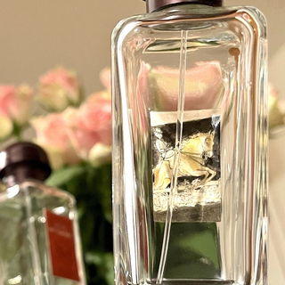 Rose Amazone / Hermès ...