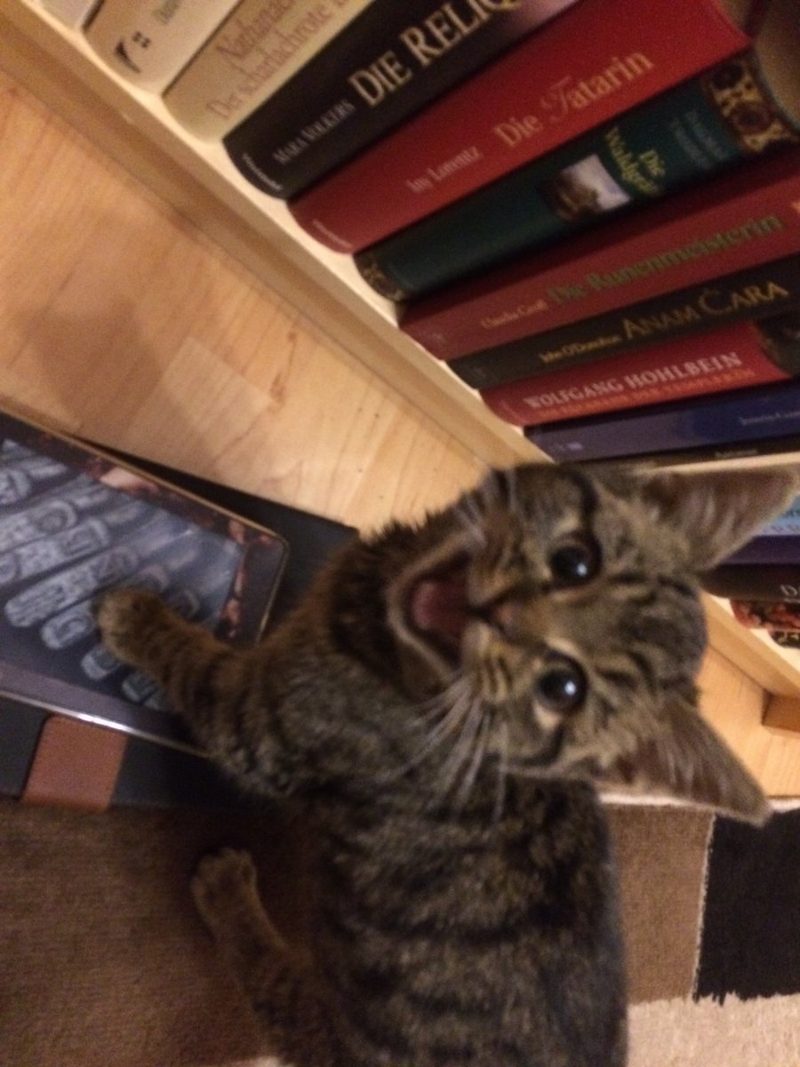 Elli lernt lesen...