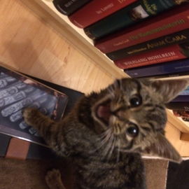 Elli lernt lesen...