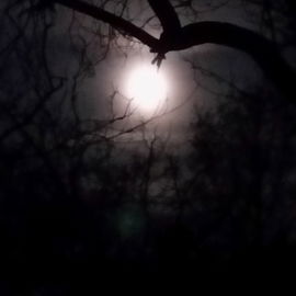 Wintermond
