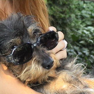 OLEG wechselte zur GUCC...