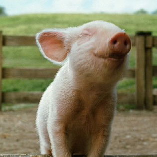 und SOOO gucke ich, wen...