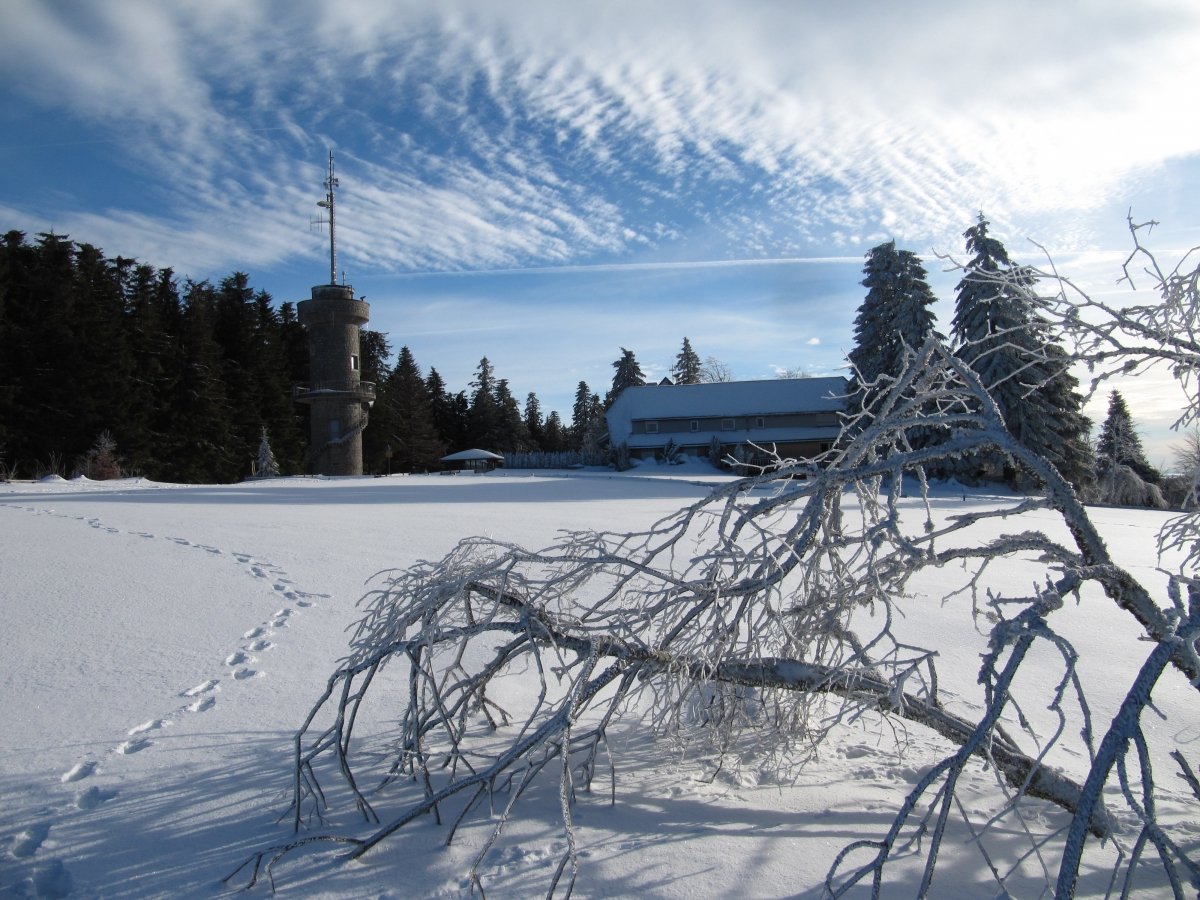 Auf dem Brend nahe Furtwangen 1150m hoch