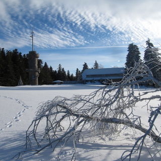 Auf dem Brend nahe Furt...