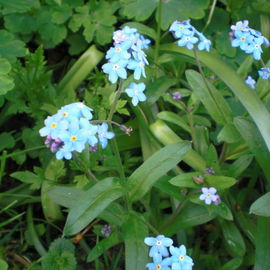 April